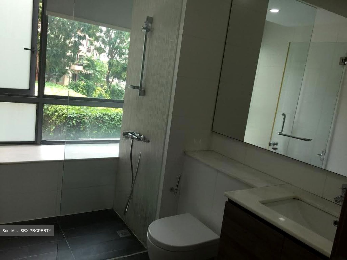 Double Bay Residences (D18), Condominium #616010561